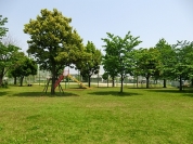 上新田公園　